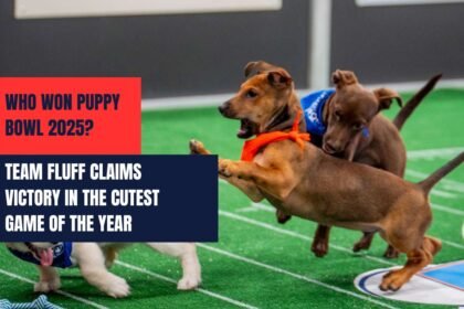 Puppy Bowl 2025